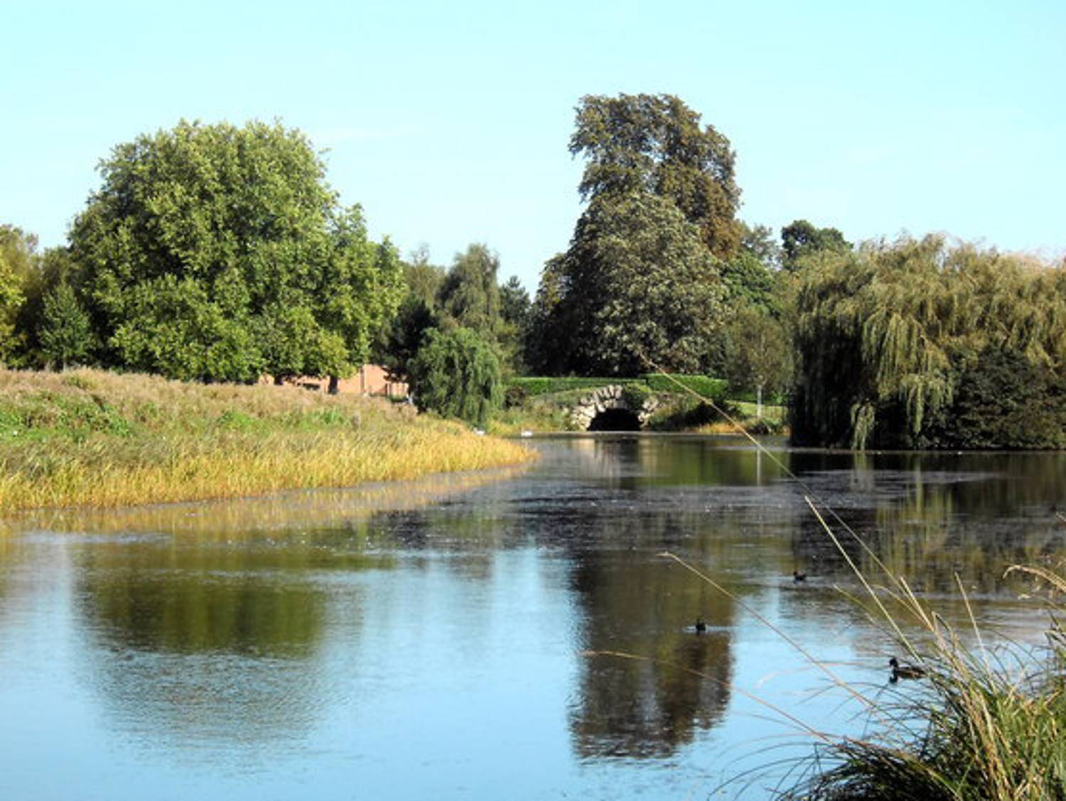 Cusworth Hall Pond Doncaster